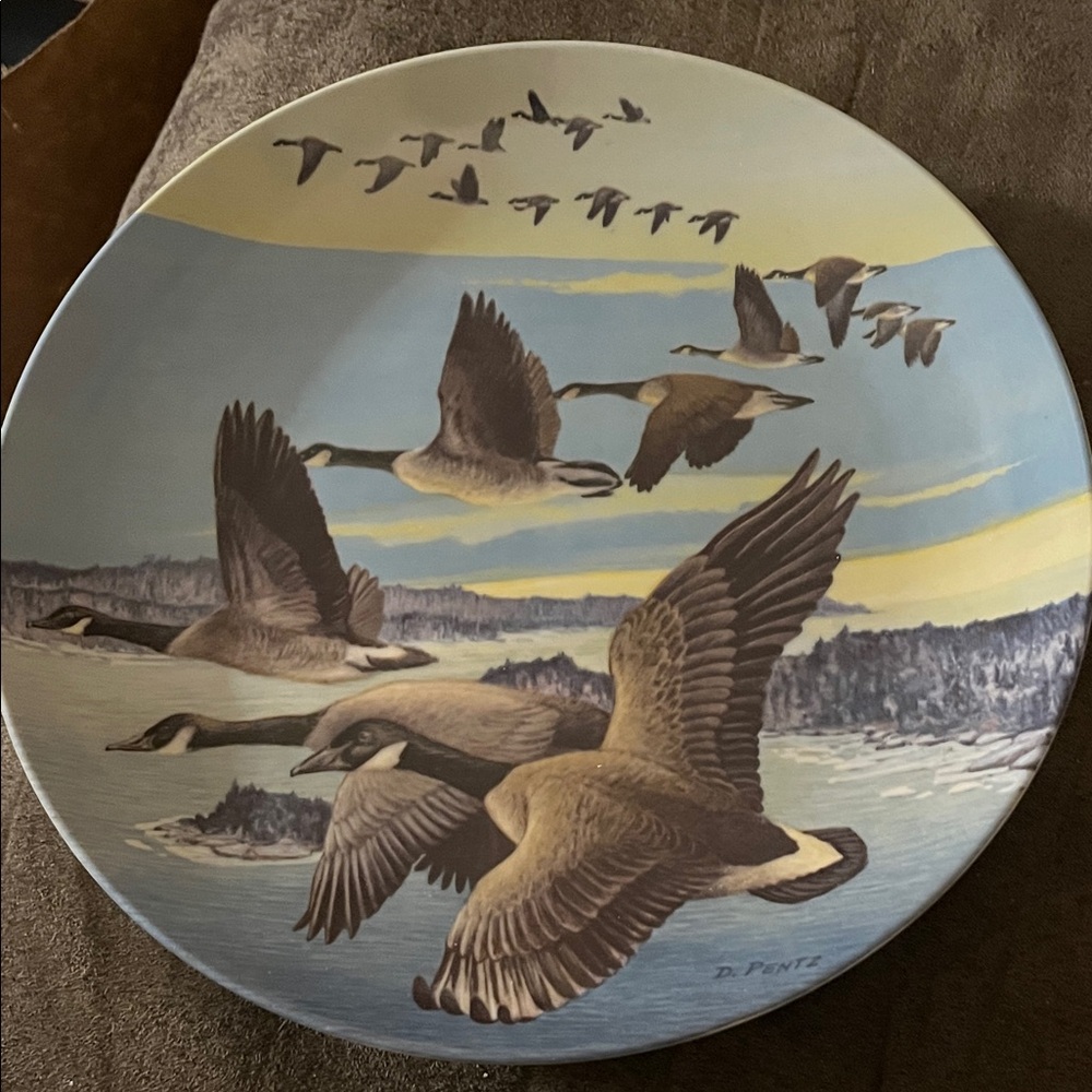 Decorative Plate with Flying Geese Design